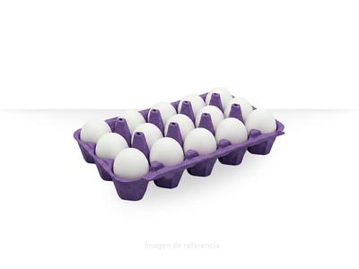 Huevo Blanco 15pza