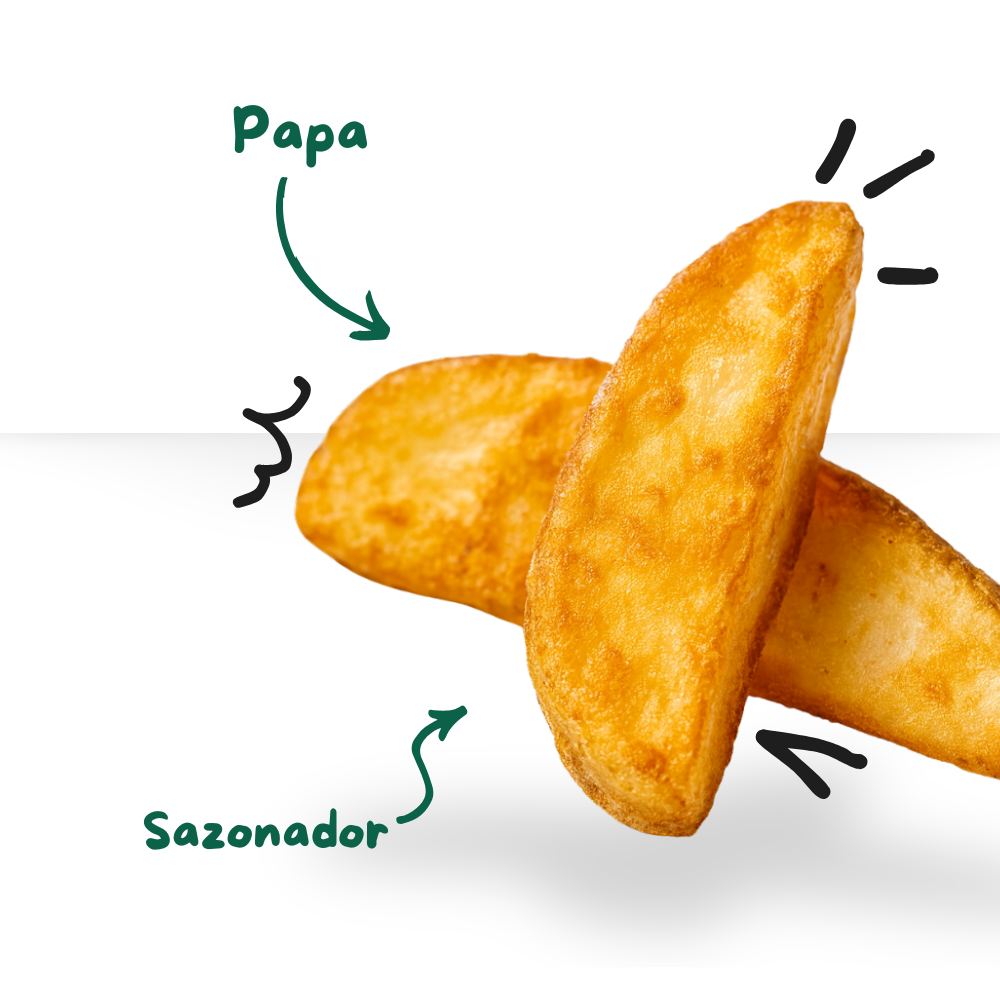 Papas fritas en gajo sazonada (C)