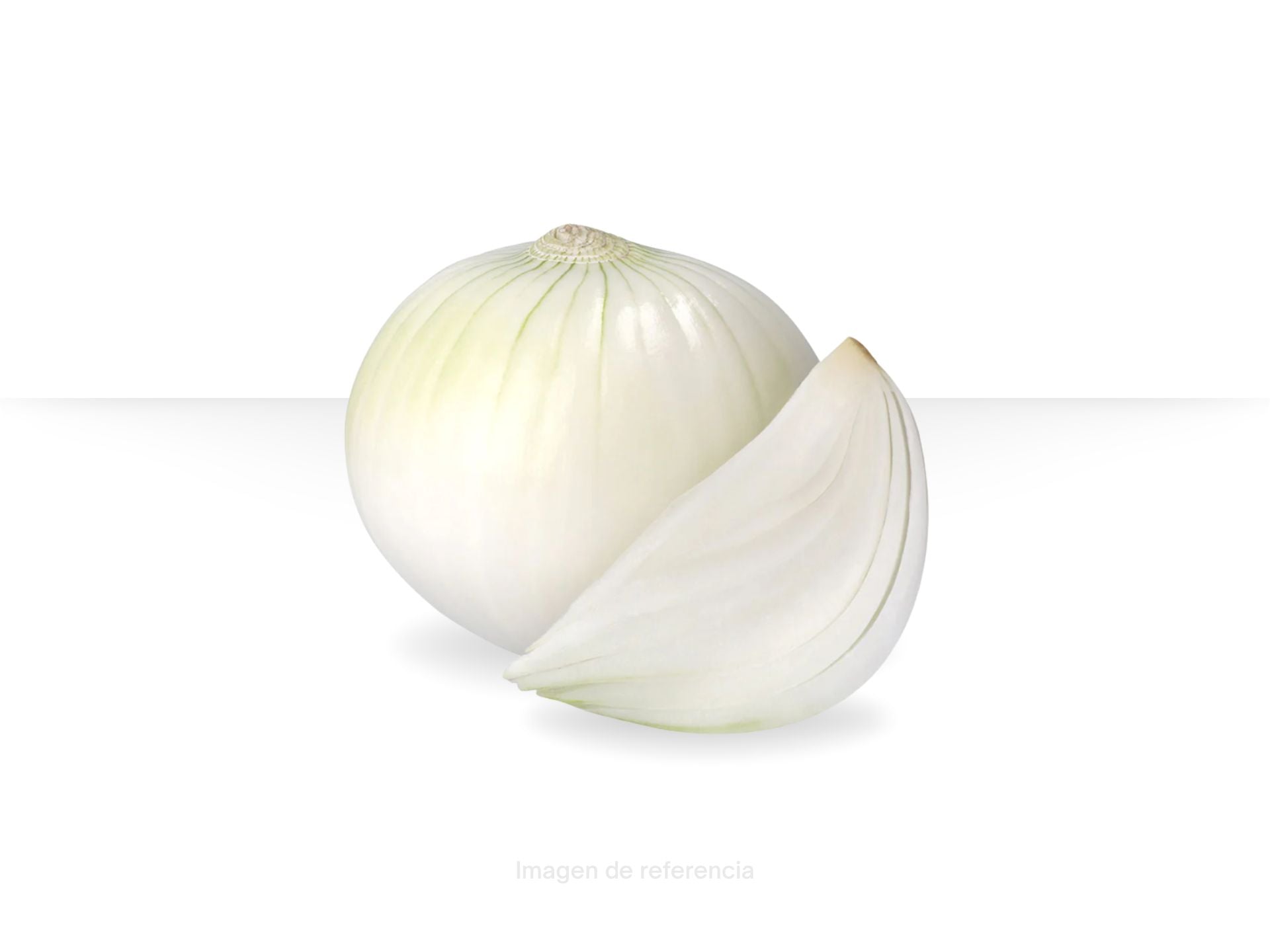 Cebolla blanca