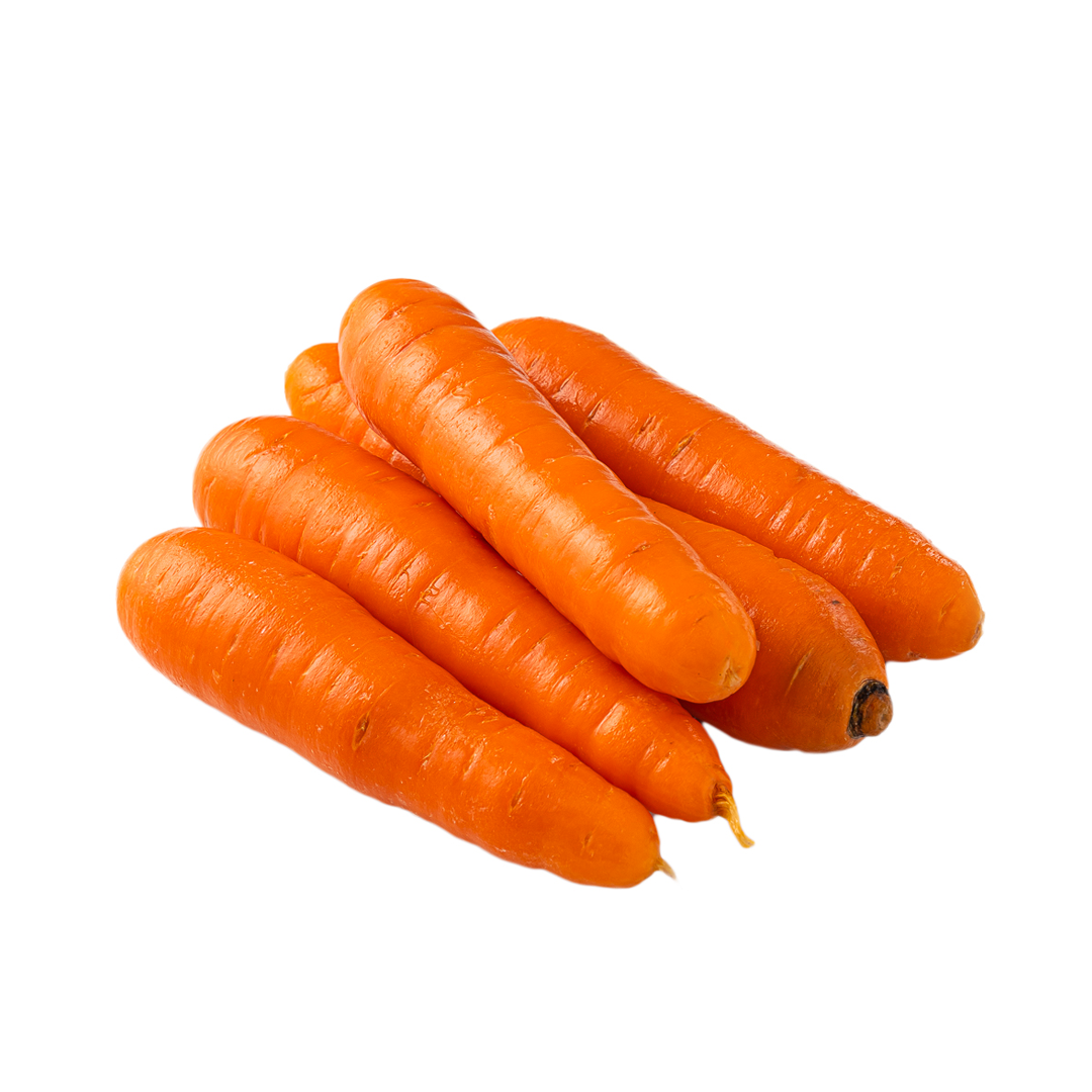 Zanahoria